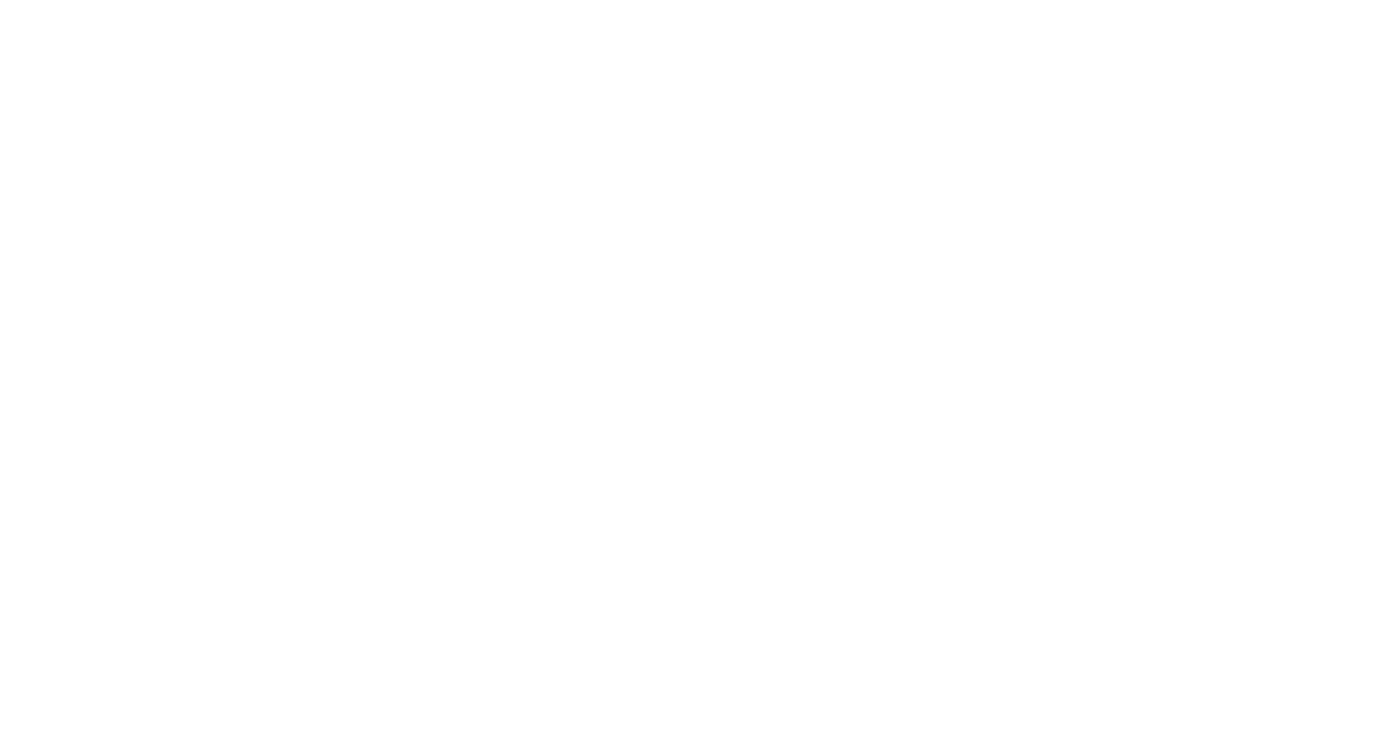 NAIA logo