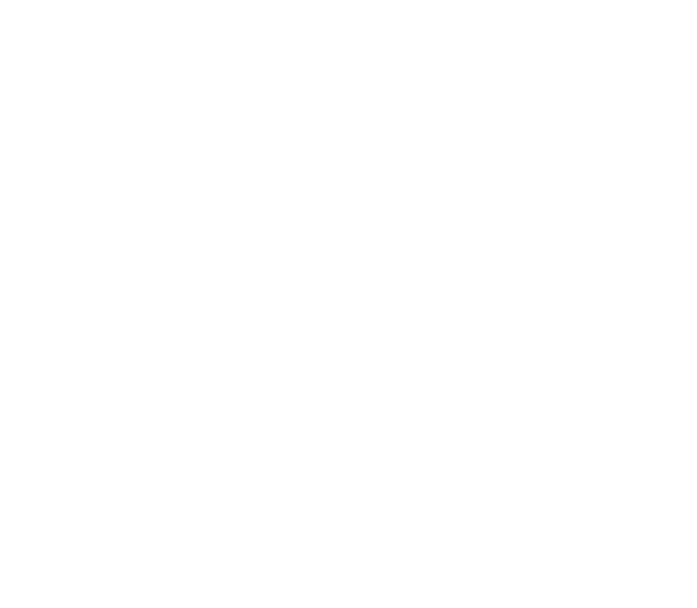 NA Collegiate Logo